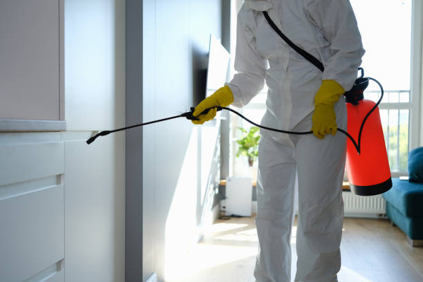 Sun City Center, FL Mold Removal Company