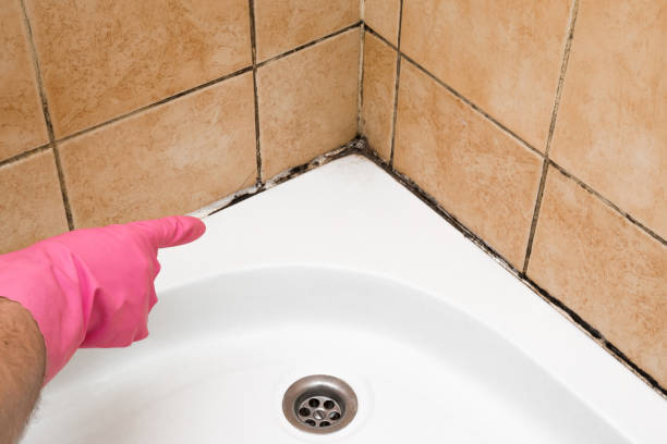 Best Mold Cleaning Services  in Sun City Center, FL